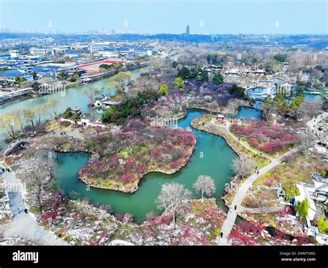 3月份揚州哪裏好玩且能賞梅賞花呢